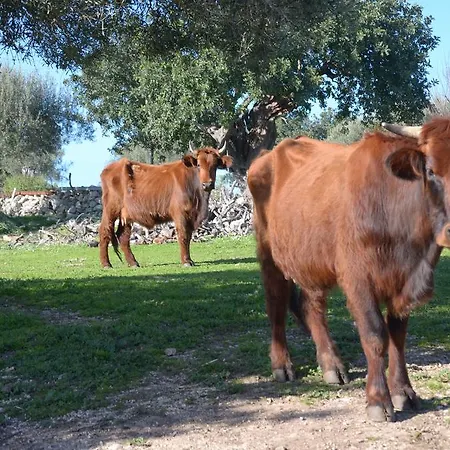 Country house Casina Di Grotta Di Ferro Santa Croce Camerina